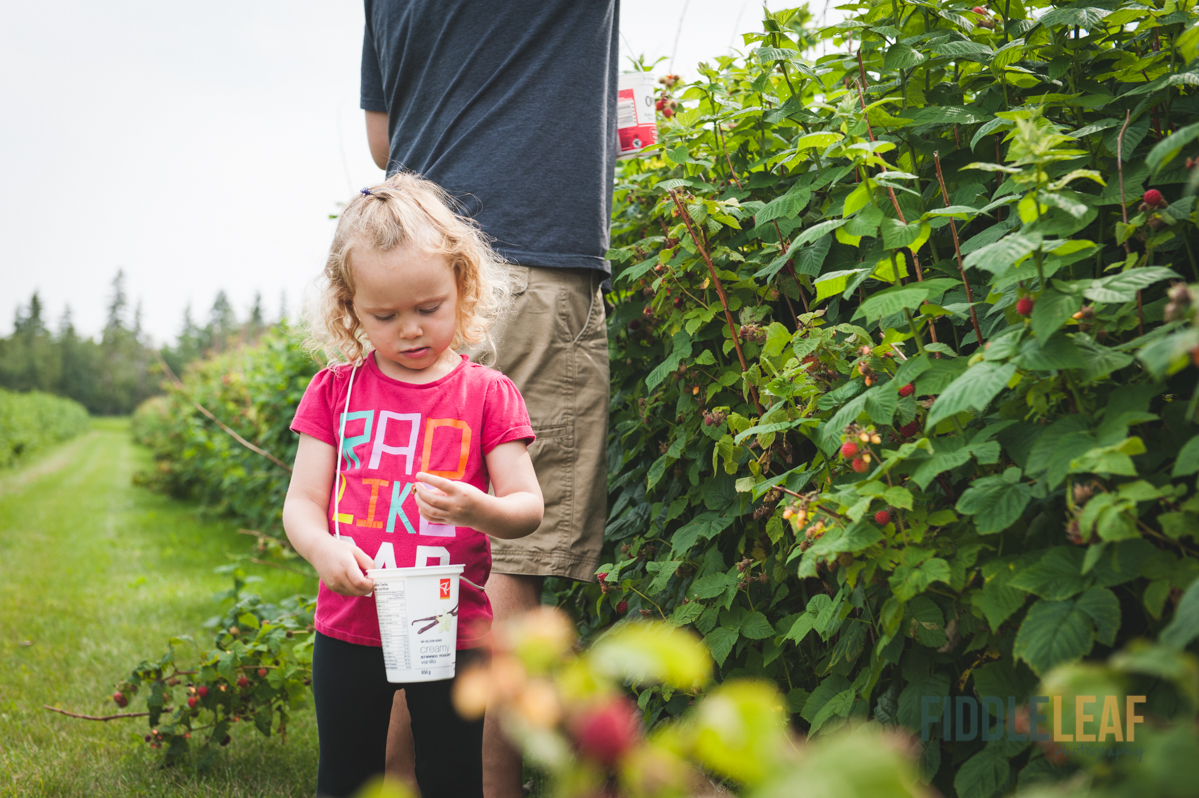 Sherwood Park Family Photographer. Fiddle Leaf Photography. www.fiddle-leaf.com