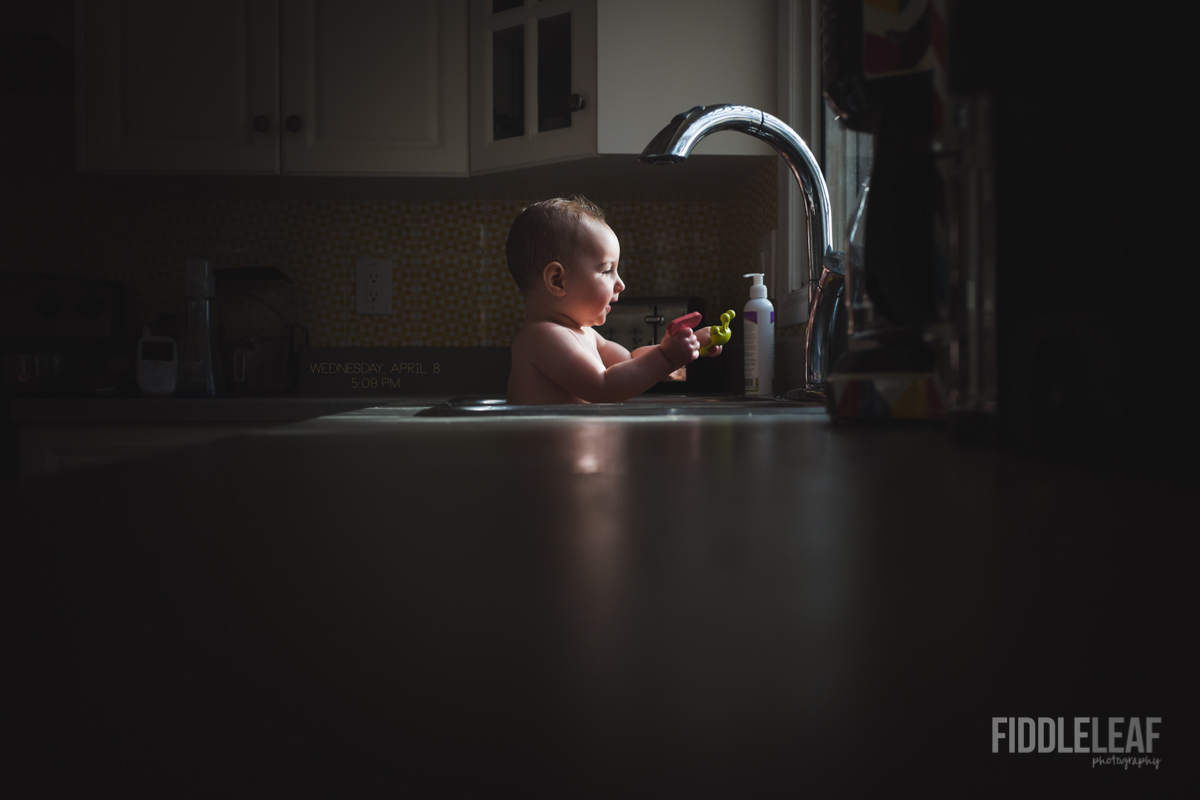 Fiddle Leaf Photography. Edmonton Baby Photographer