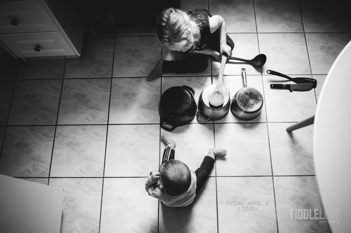 Our 5 O'Clock.  Fiddle Leaf Photography. -1