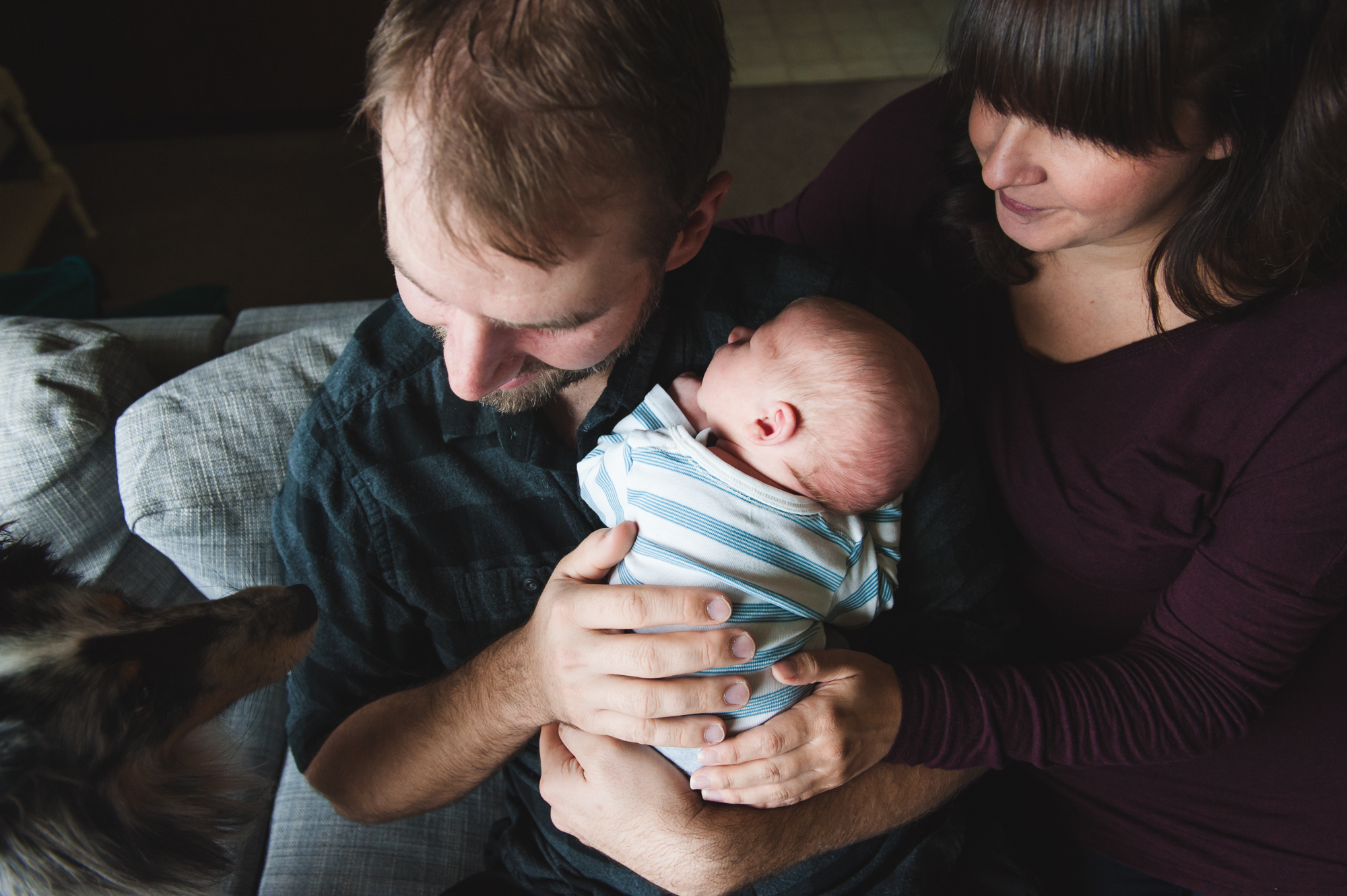 Having your dog in newborn pictures.