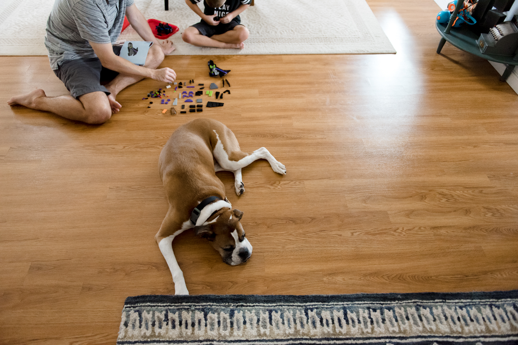 Relaxed family photos in home