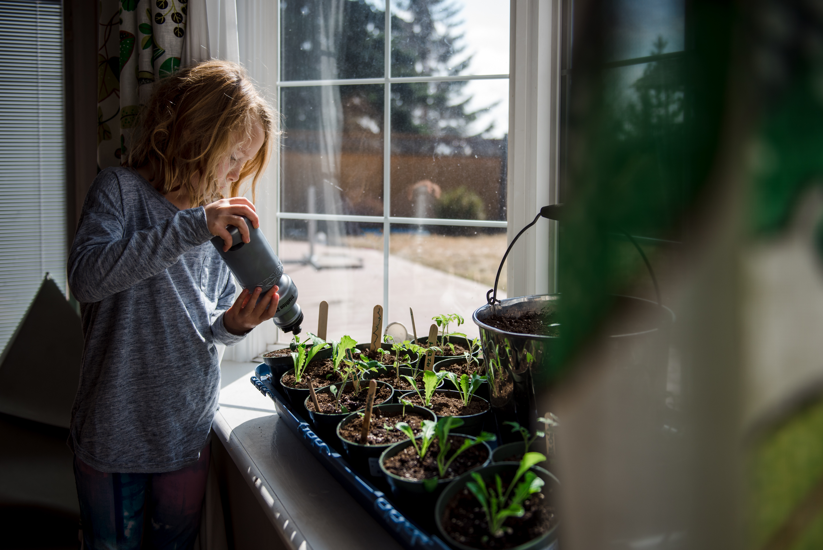 A young girl waters seedlings in Edmonton, Alberta