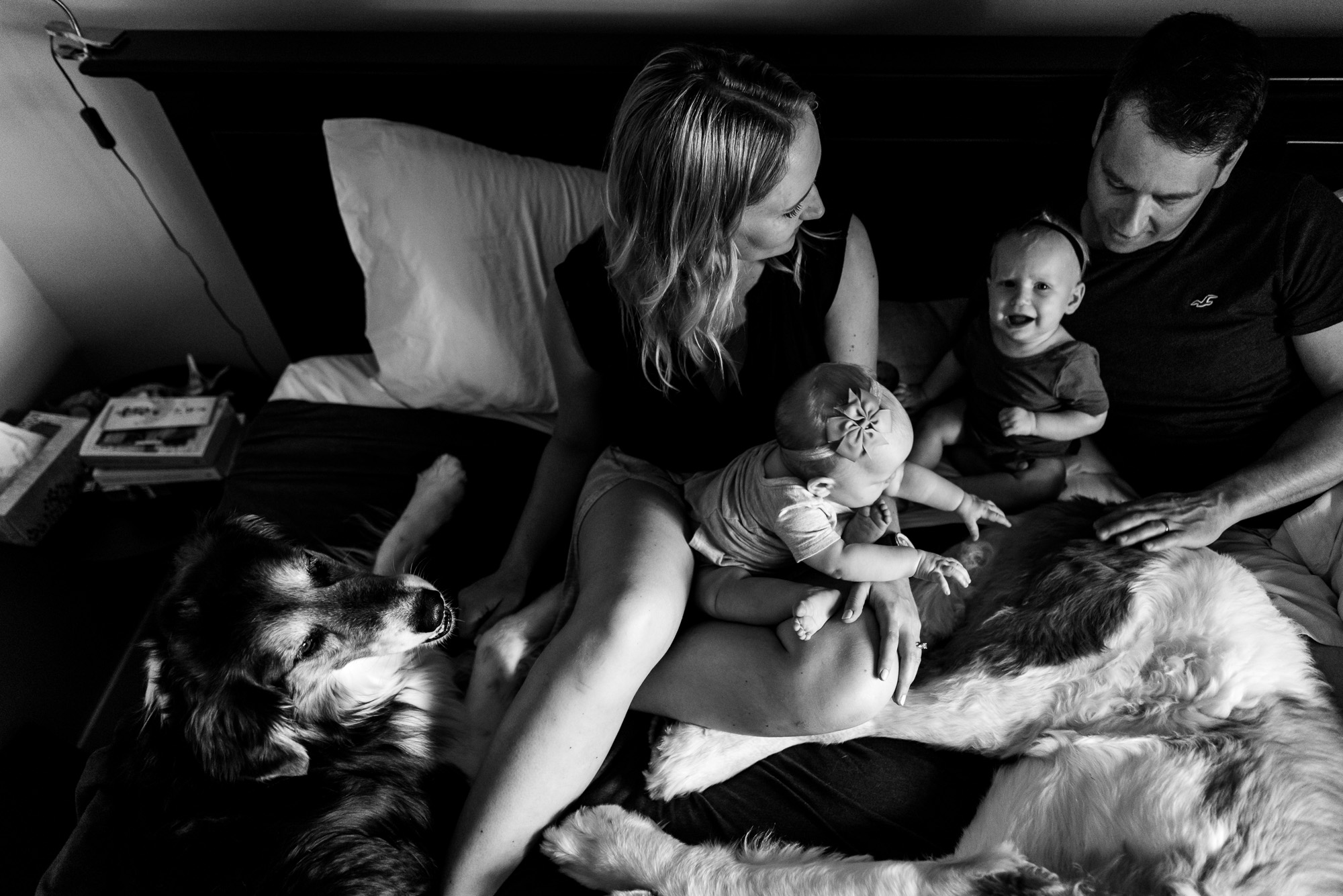 A family sits on their bed with 2 dogs and twin baby girls in Edmonton