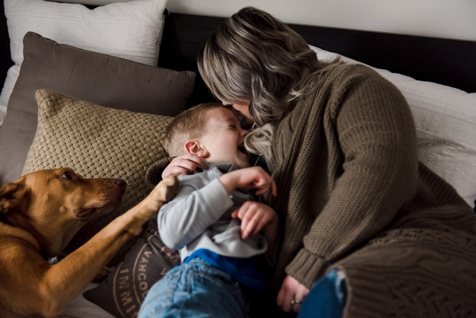 A mom cuddles her son with the dog nearby during family photos in their sherwood park home