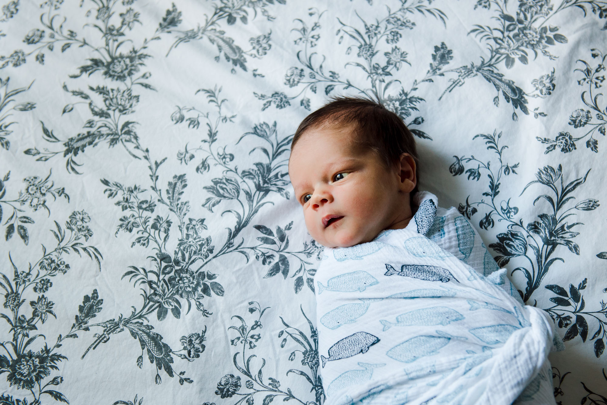 A simple, lifestyle portrait of a newborn baby in Edmonton 