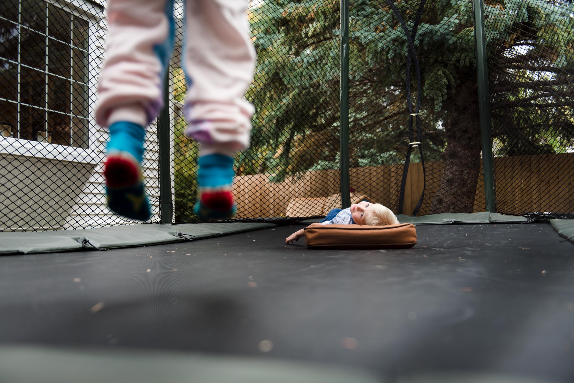 A boy watches his sister on their backyard trampoline