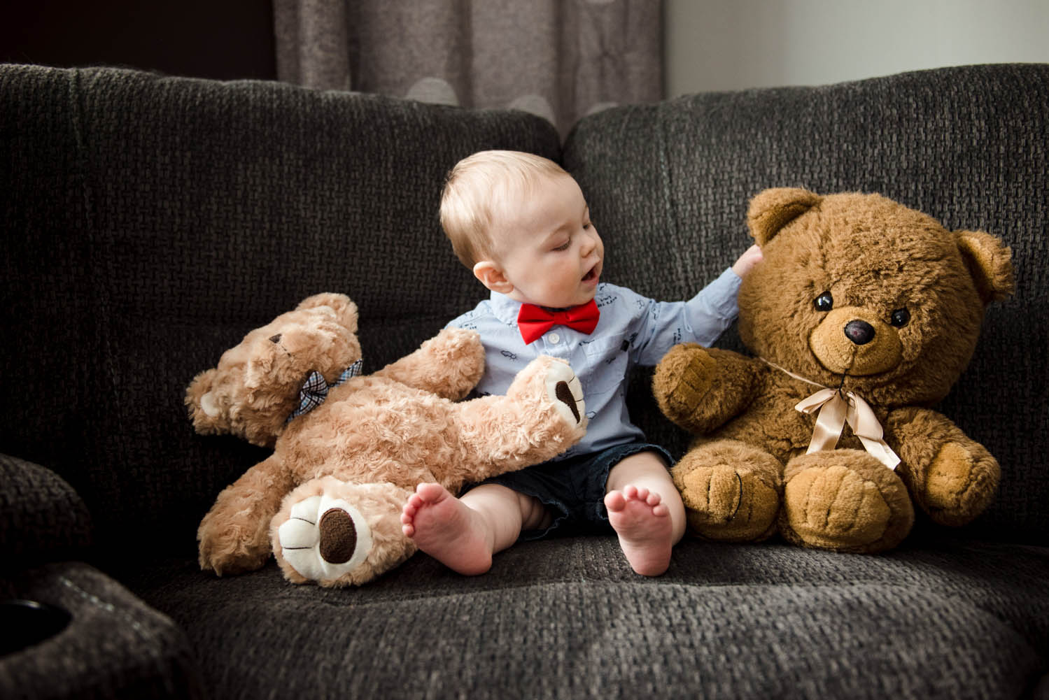 1 year old baby boy looks dapper in a bow tie during 1 year photos in his Sherwood Park home. 