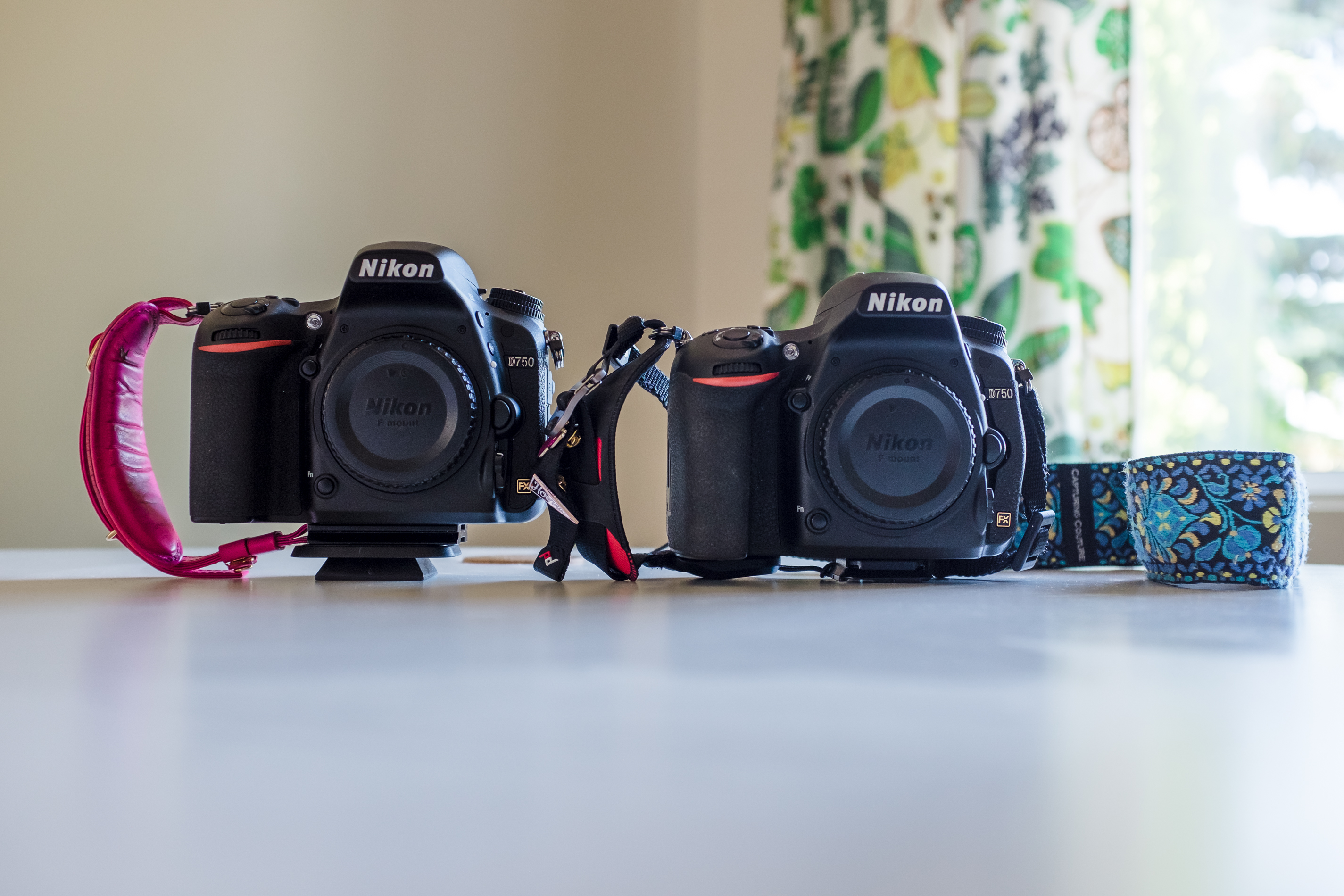 the 2 cameras I bring to lifestyle and newborn photo sessions
