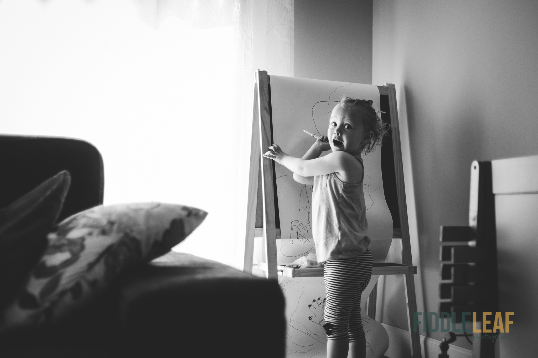 Day In the Life - Sherwood Park Photographer. Fiddle Leaf Photography