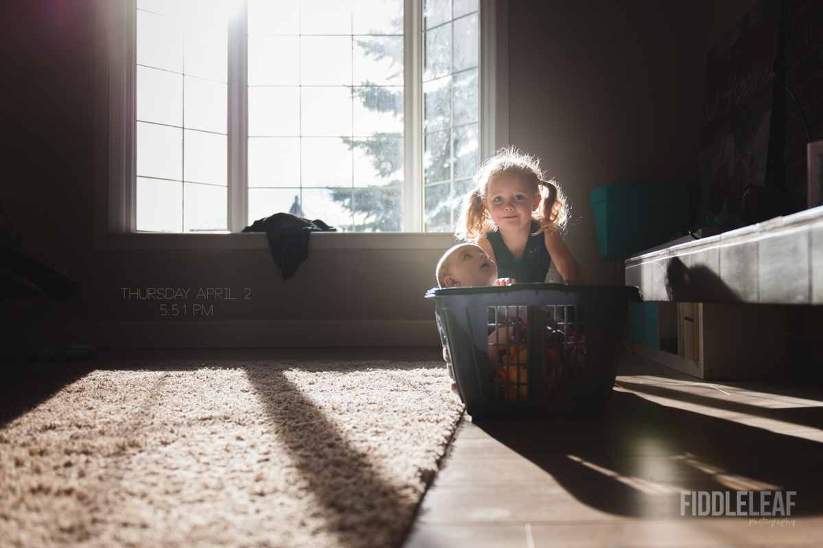 Our 5 O'Clock.  Fiddle Leaf Photography. -1