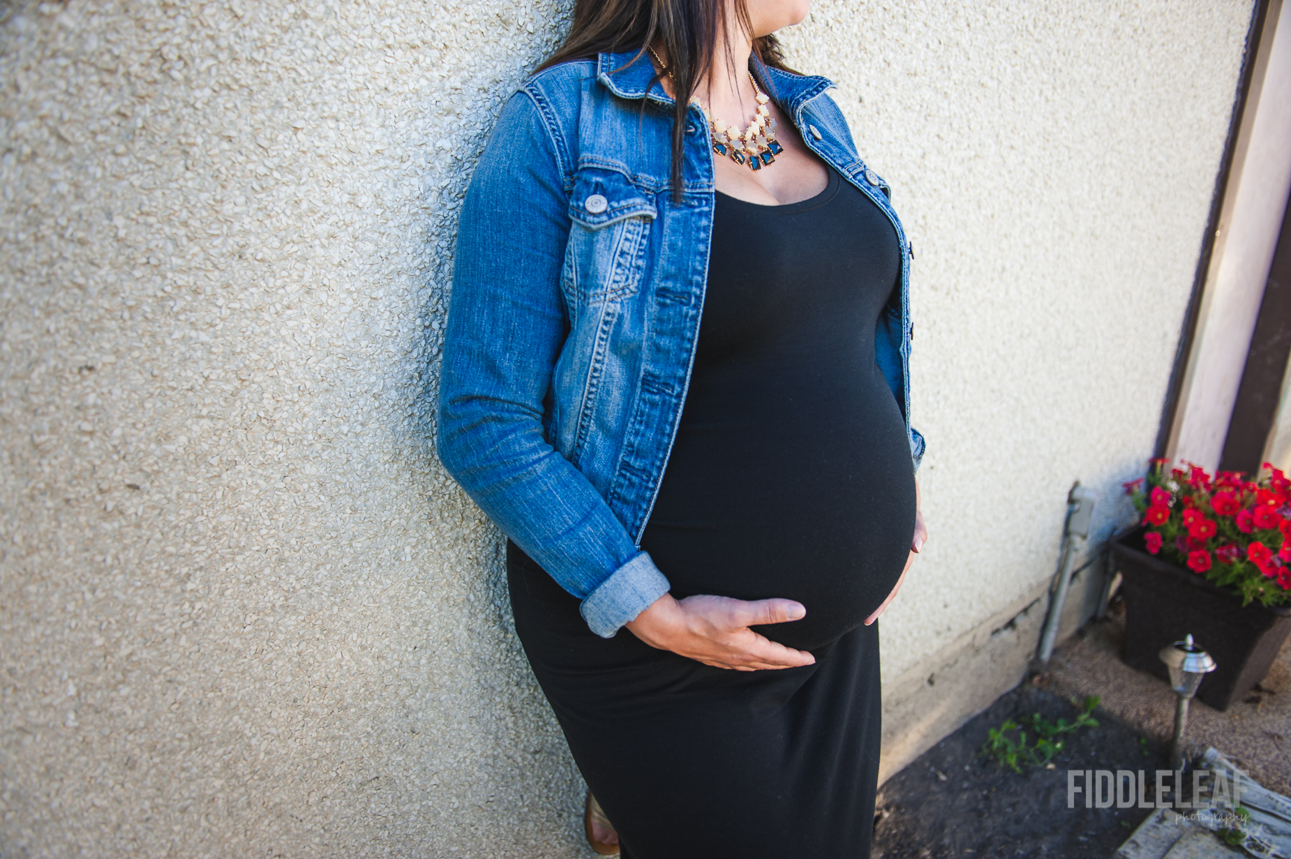 Edmonton Maternity Photographer. Fiddle Leaf Photography