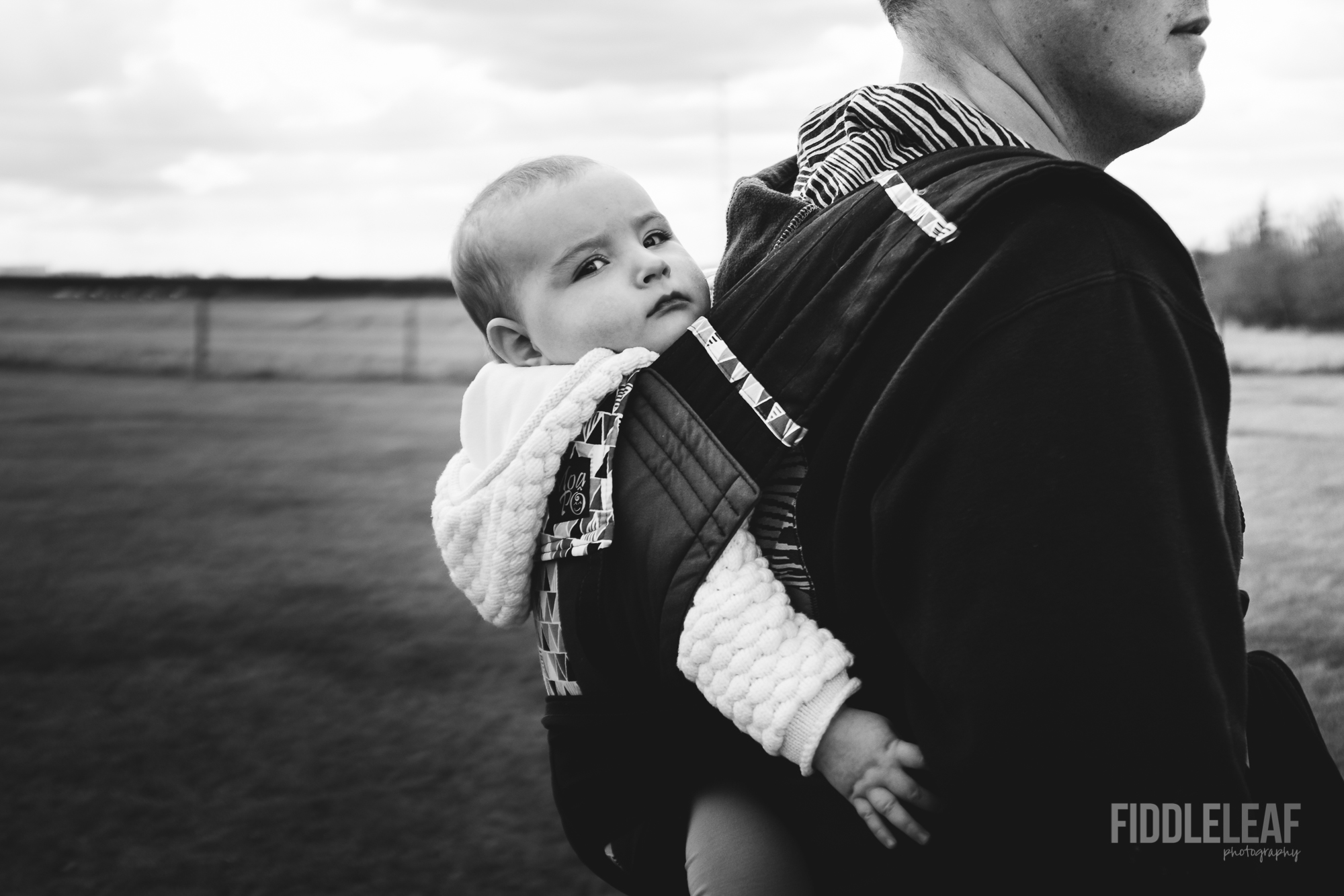 Fiddle Leaf Photography. Baby Photography Edmonton._