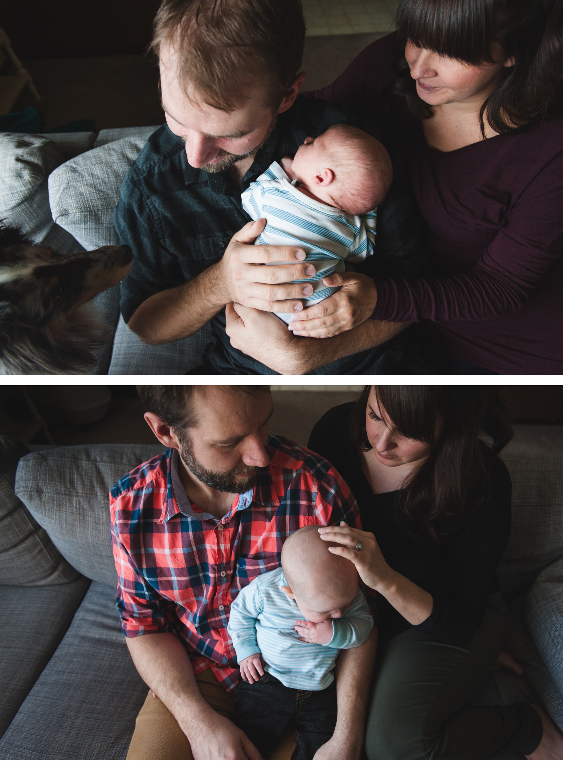 Baby Photographer Edmonton. Fiddle Leaf Photography