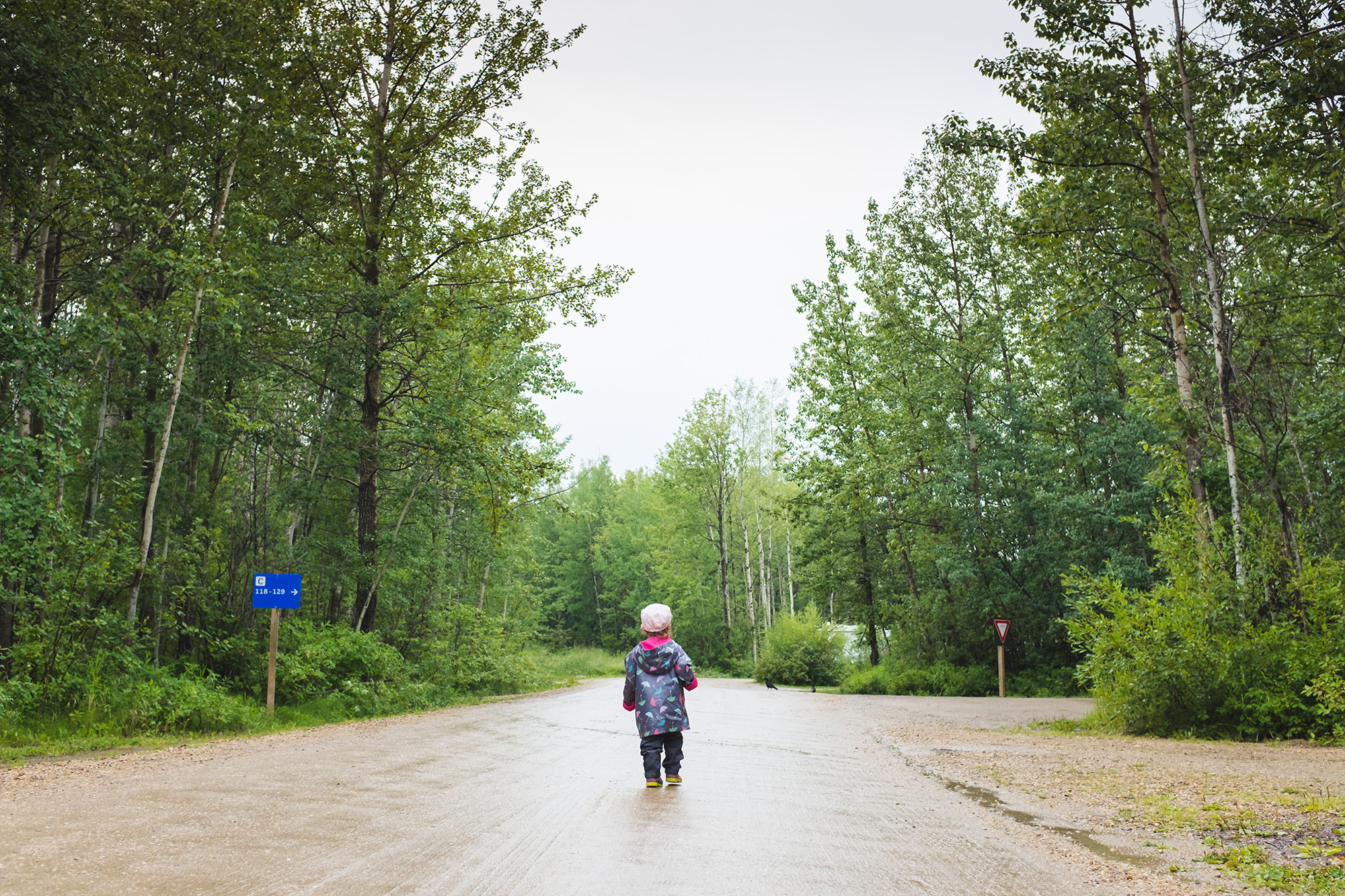 Pigeon Lake Provincial Park