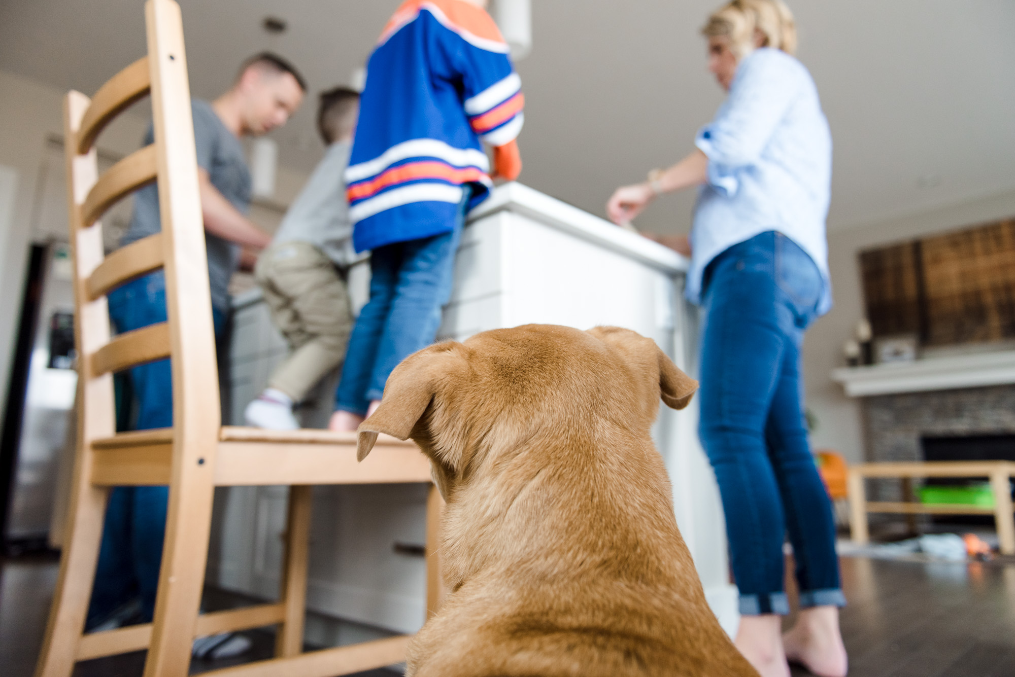 A dog looks on during a family photo session in Edmonton. 