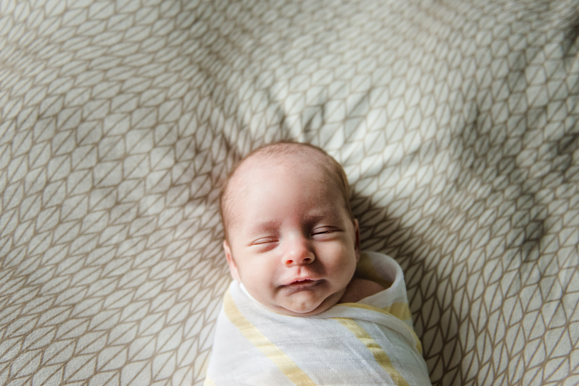 A newborn baby portrait from Edmonton Newborn Photographer Fiddle leaf Photography