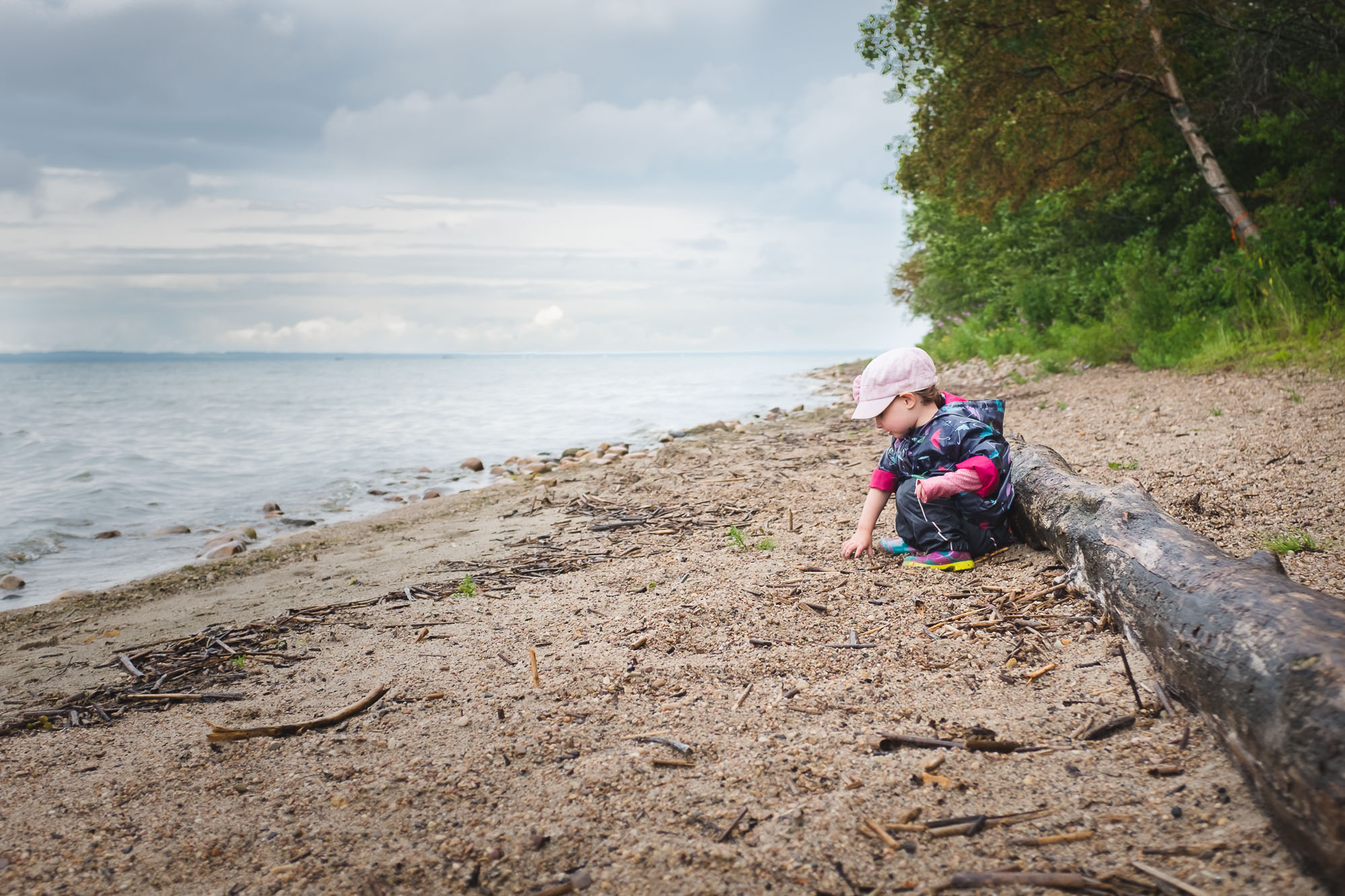 A little girl plays on the shore of Pigeon lake, AB