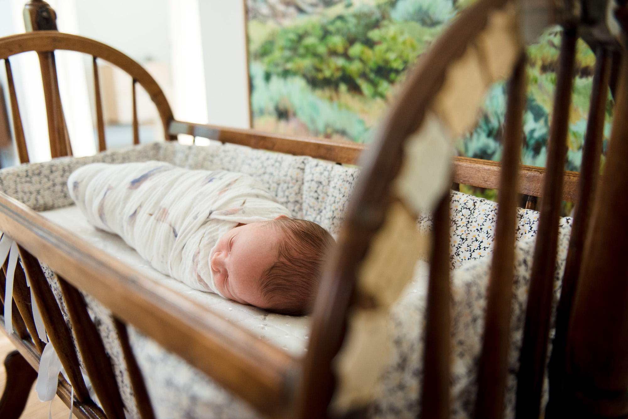 A baby in a vintage bassinet from an Edmonton photo session by Fiddle Leaf Photography