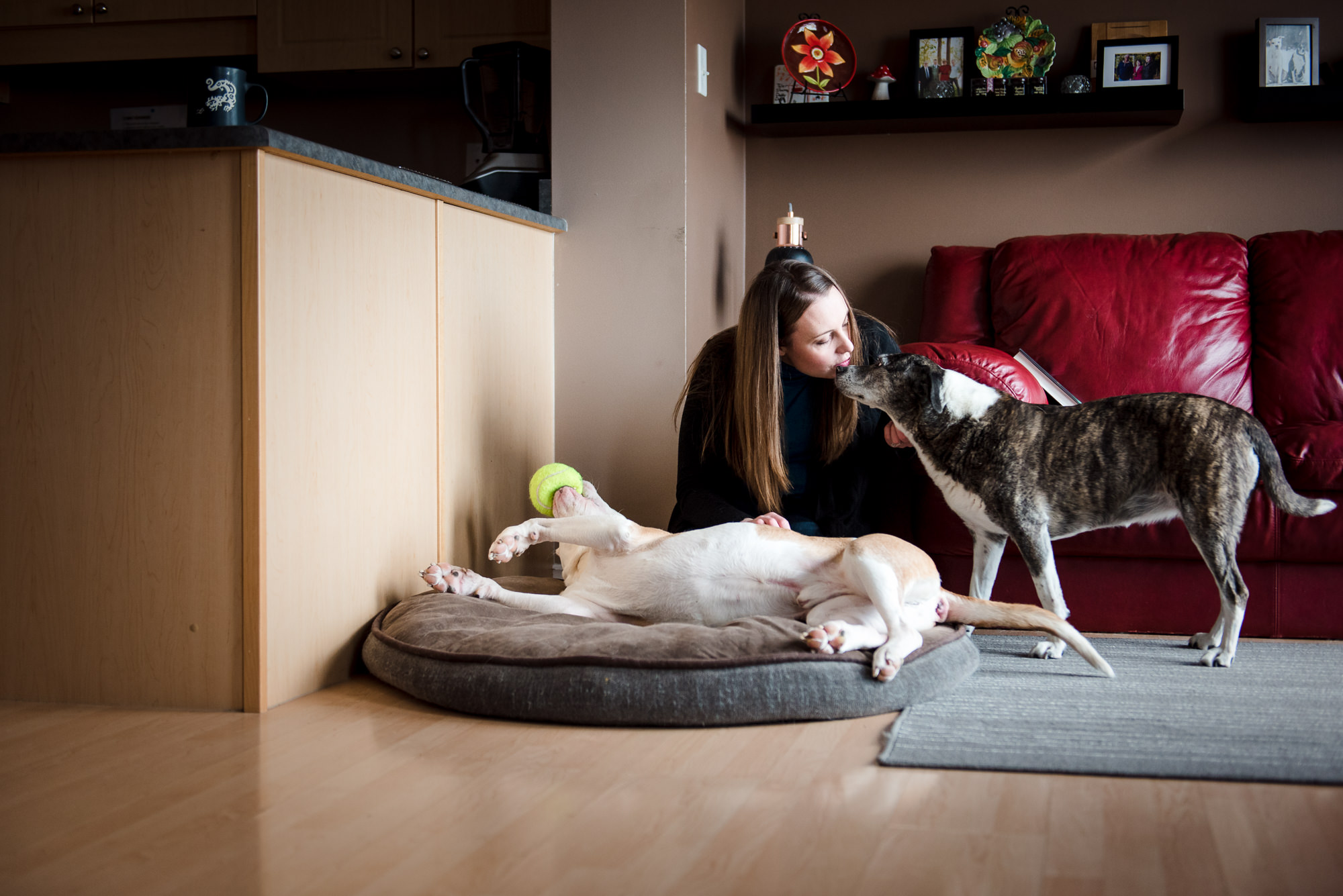 A mother cuddles with her dogs during her family's lifestyle photo session by Fiddle Leaf Photography 
